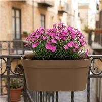 Balconetta Melrose Esprit 50X20X20H Mocca