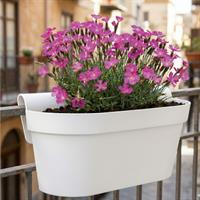 Balconetta Melrose Esprit 50X20X20H Bianco