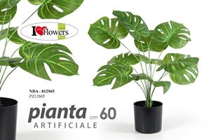 Pianta 60Cm                  Pz12605