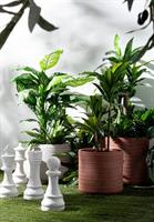 Decorazione Chess Pedone Bianco