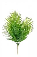 Ramo Palma Narek Verde H59 cm