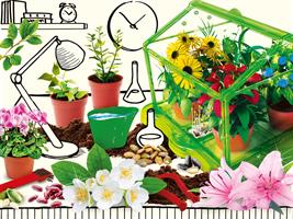 Lisciani I'm A Genius Laboratorio Di Botanica