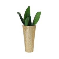 Vaso (Ferro) 27,9*27,9*66,7 Cm Oro