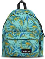 Zaino Scuola Padded Pak'R Brize Palm Aqua Ab Eastpak