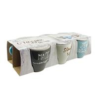 6 Tazzine Shabby 56143