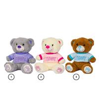 Orsetto Teddy Seduto H 23 Cm Con Tshirt