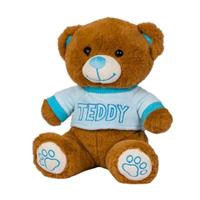 Orsetto Teddy Seduto H 23 Cm Con Tshirt