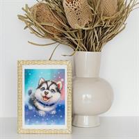 Diamantiny Level Husky