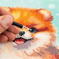 Diamantiny Level Up Volpino