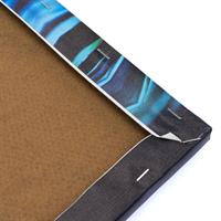 Diamantiny Quadro Ara