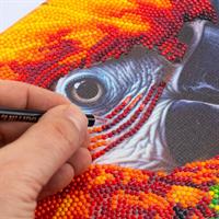 Diamantiny Quadro Ara