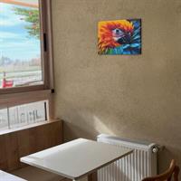 Diamantiny Quadro Ara