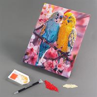 Diamantiny Quadro Parrocchietti