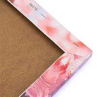 Diamantiny Quadro Parrocchietti