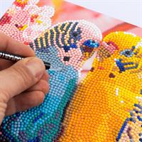 Diamantiny Quadro Parrocchietti