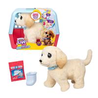 Llp Ouchies Labrador 39x30x20 Cm