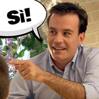 Ne Si Ne No 33x26x6 Cm