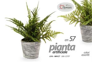 Piantina Ass 9,5*23 Cm