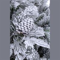 Albero Natale Arves Innevato H240-2513Rami-Diam.150