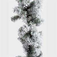 Boa Badia Innevato H270