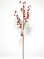 Ramo Bacche Rosse L.75Cm.