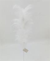 Ramo. L.65Cm - Piume Bianco