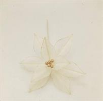 Stella Di Natale. D.30X40Cm - Piume Crema
