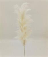 Ramo. L.65Cm - Piume Crema
