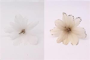 Fiore Piume Da Appendere D9X19Cm Colori Ass.Ti