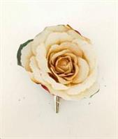 Rosa C/Clip 10Cm - Panna