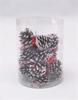 25 Pigne Punte Bianche In Cilindro Pvc