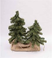 2 Alberelli Pvc Cm.32X42H Con Base Juta