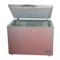 Congelatore Orizzontale Staylux 300lt Bd-300 Grigio