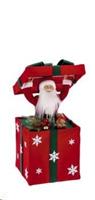 Pacco Dono+Babbo Natale 20L Cm30X30X69