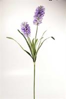 Stelo Giacinto Ass 91Cm     Hc418067