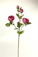 Stelo Rose Ass 70Cm         Hy121006