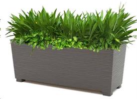 Cassetta Maxi Aurora 80cm Antracite