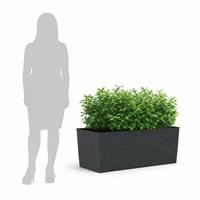 Cassetta Maxi Aurora 80cm Antracite