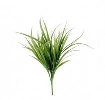 Pick Hakonechloa Alams Verde H43 Cm Bizzotto